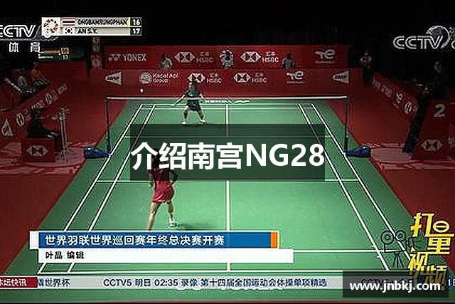 介绍南宫NG28